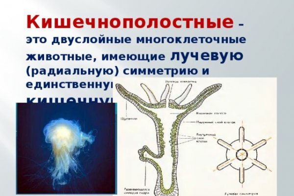 Mega актуальная ссылка