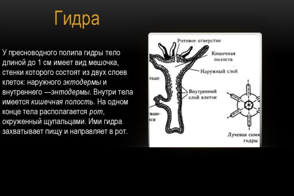 Мега как зайти на сайт в торе