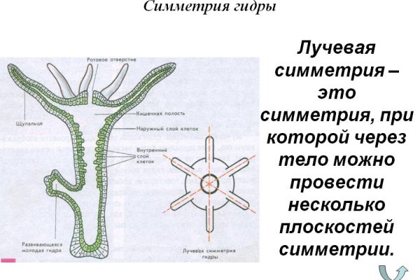 Площадка мега ссылка